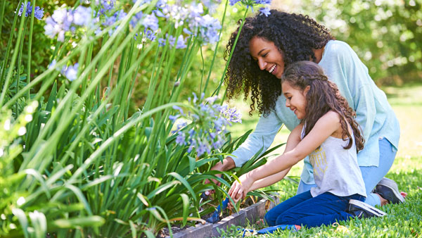 How Was Your Gardening Season?