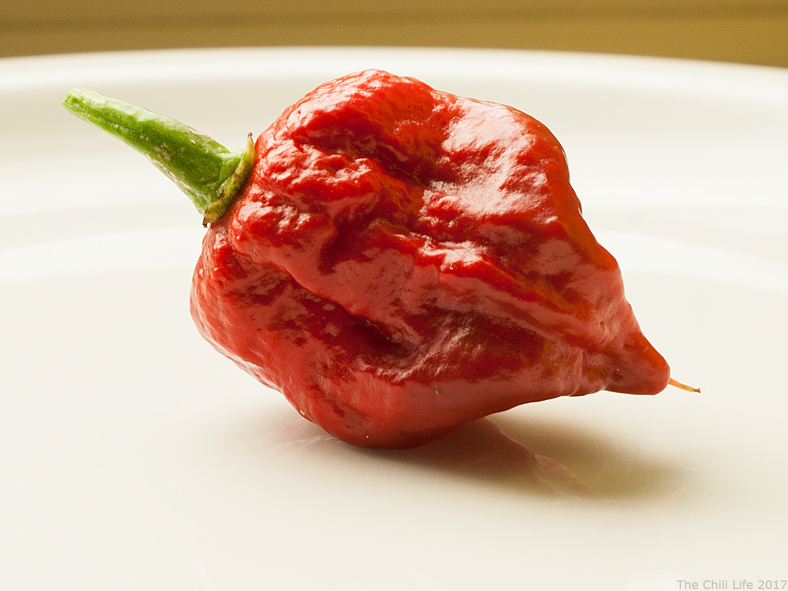 Carolina Reaper - Official World's Hottest Pepper
