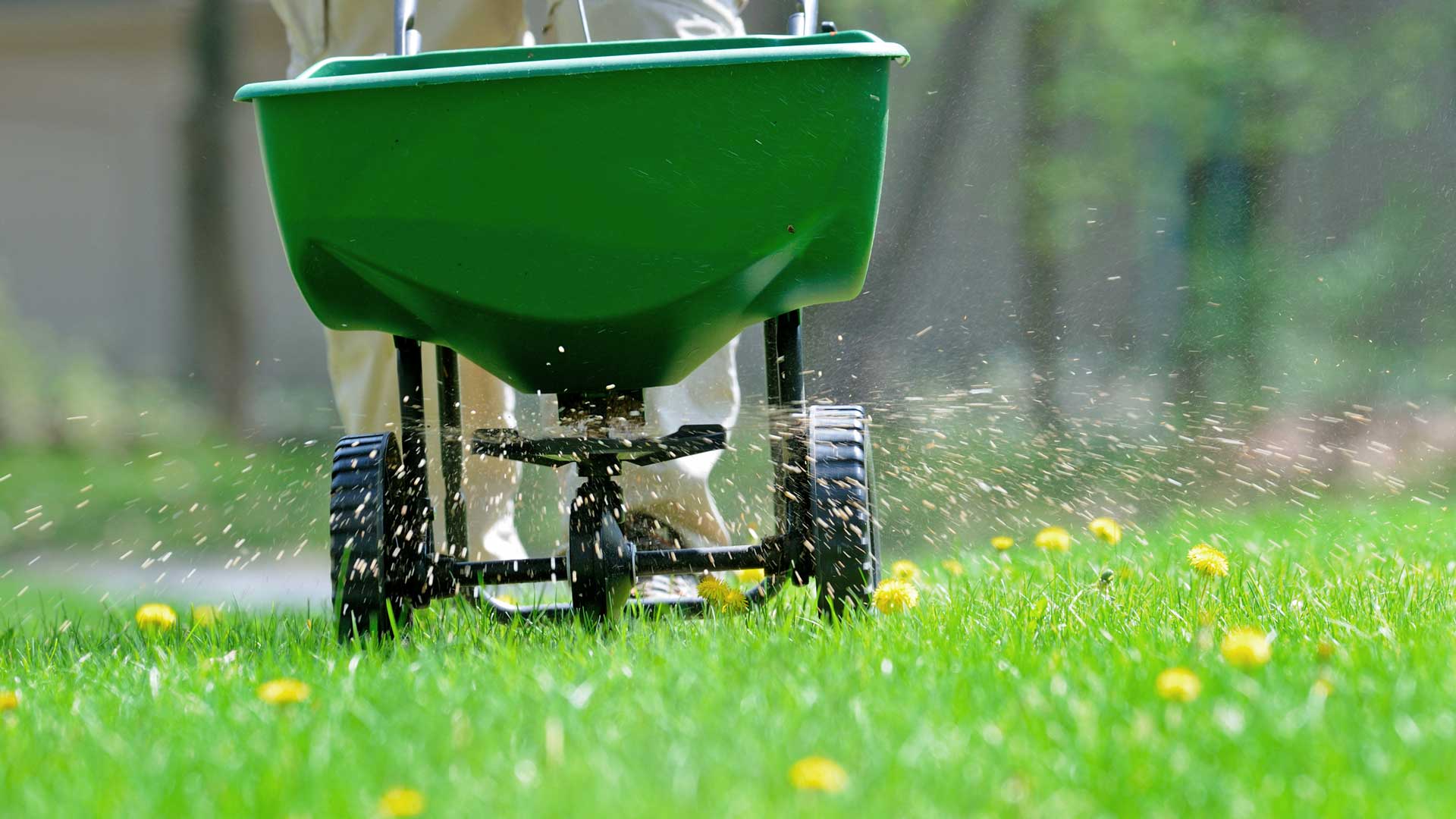 Weed Control - O'Toole's Garden Centers