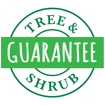 Tree & Shrub Guarantee
