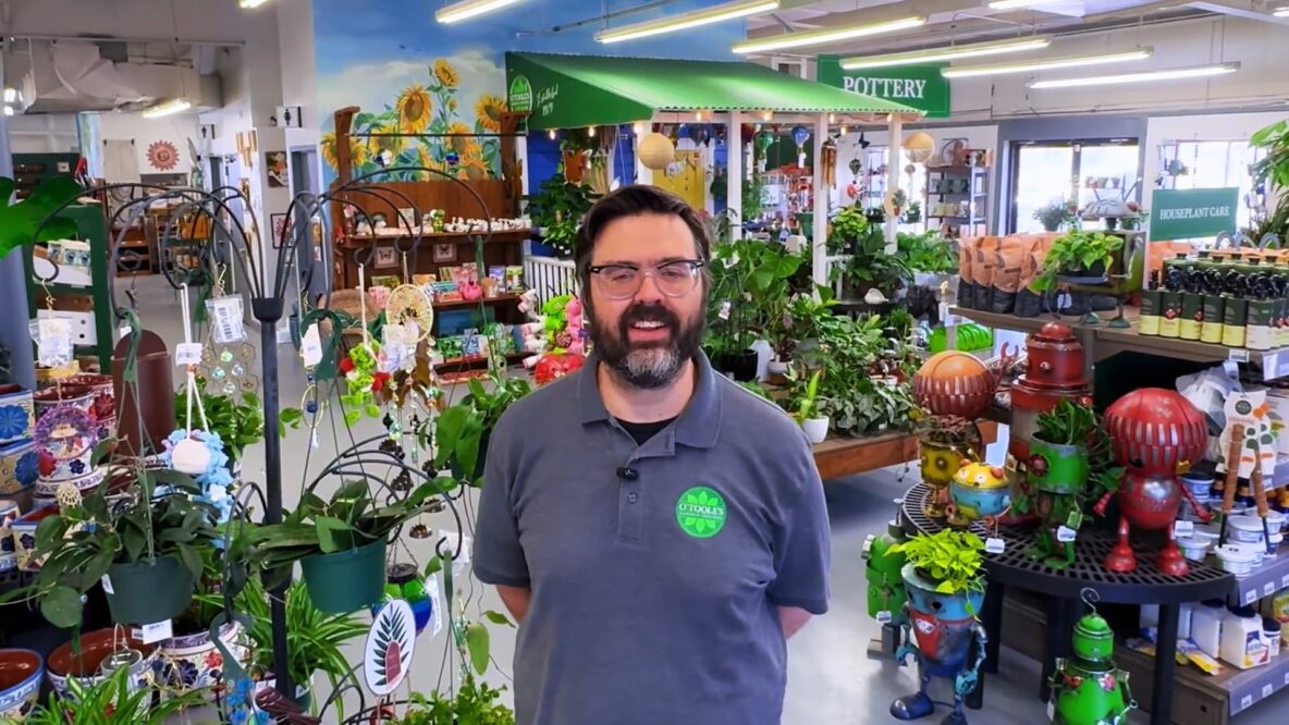 Pat OTooles at OTooles Garden Centers with hummingbird feeders and garden decor